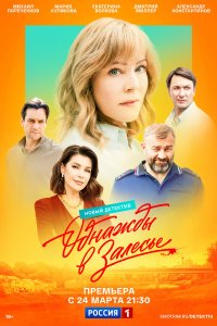  Однажды в Залесье 